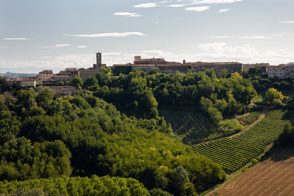 Cella Monte